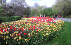 Cișmigiu Gardens