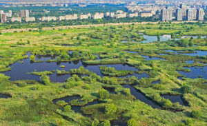 Văcărești Nature Park