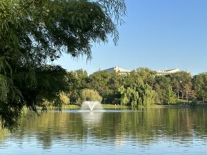Tineretului Park